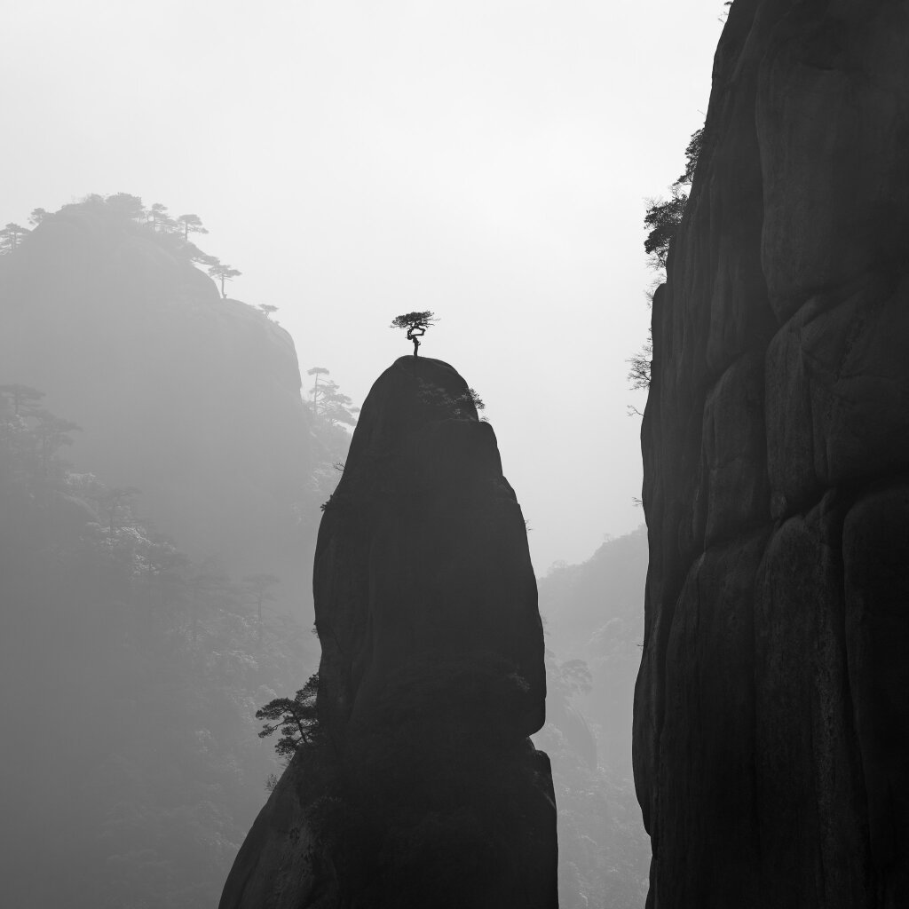 Photo of a small tree perched on top of a tall skinny cliff in Sanqingshan China
