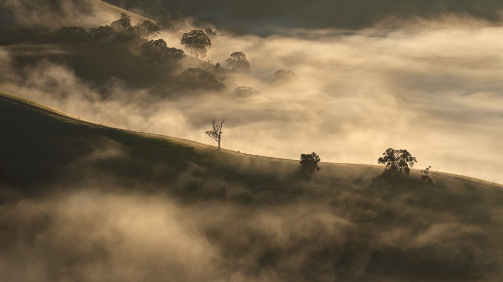 Murrindindi hills in fog