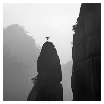 Photo of a small tree on a tall mountain peak in Sanqingshan_China