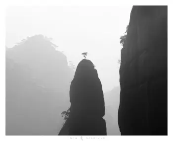 Tree on top of pointy mountain peak in China.