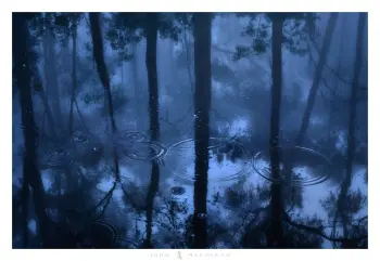 Abstract photograph of trees reflected in water with ripples. Winner of the 2024 NLPA best image.